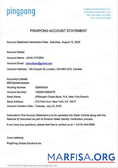 Realistic USA California PingPong Global Solutions Inc account statement word download for verification